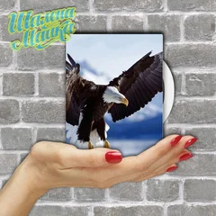  Animals 064 Орел 01